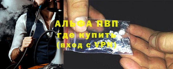 индика Алексин