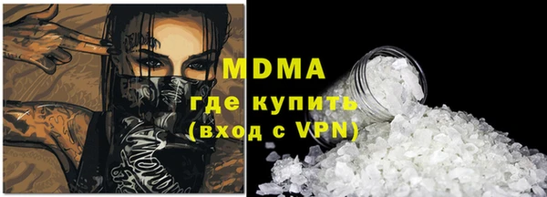 индика Алексин