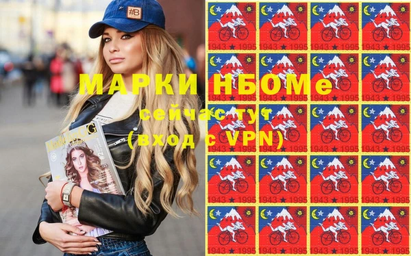 индика Алексин