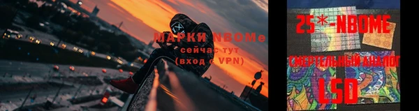 индика Алексин