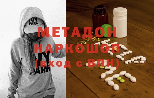 индика Алексин