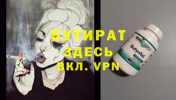индика Алексин